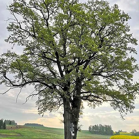 Ampervilla