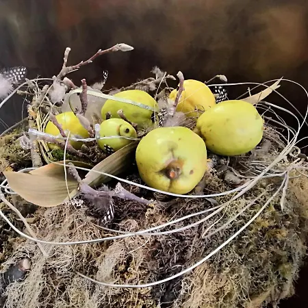 מלון Ampervilla 4*
